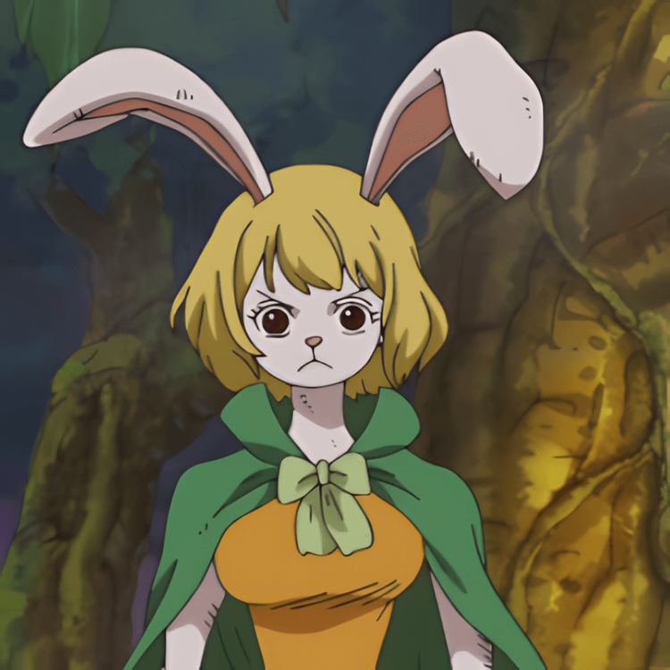one pieceCarrot