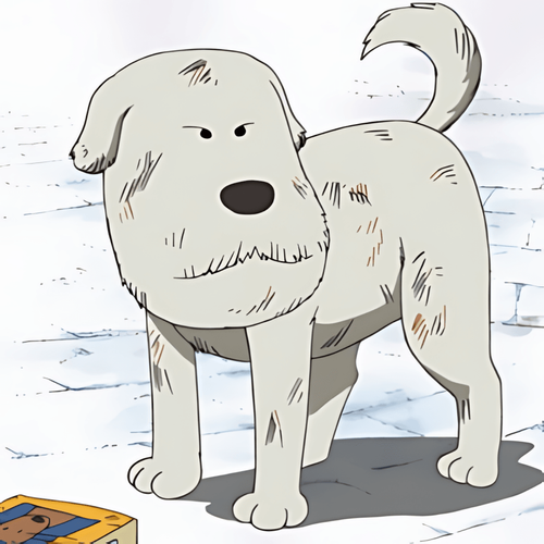 chou_chou